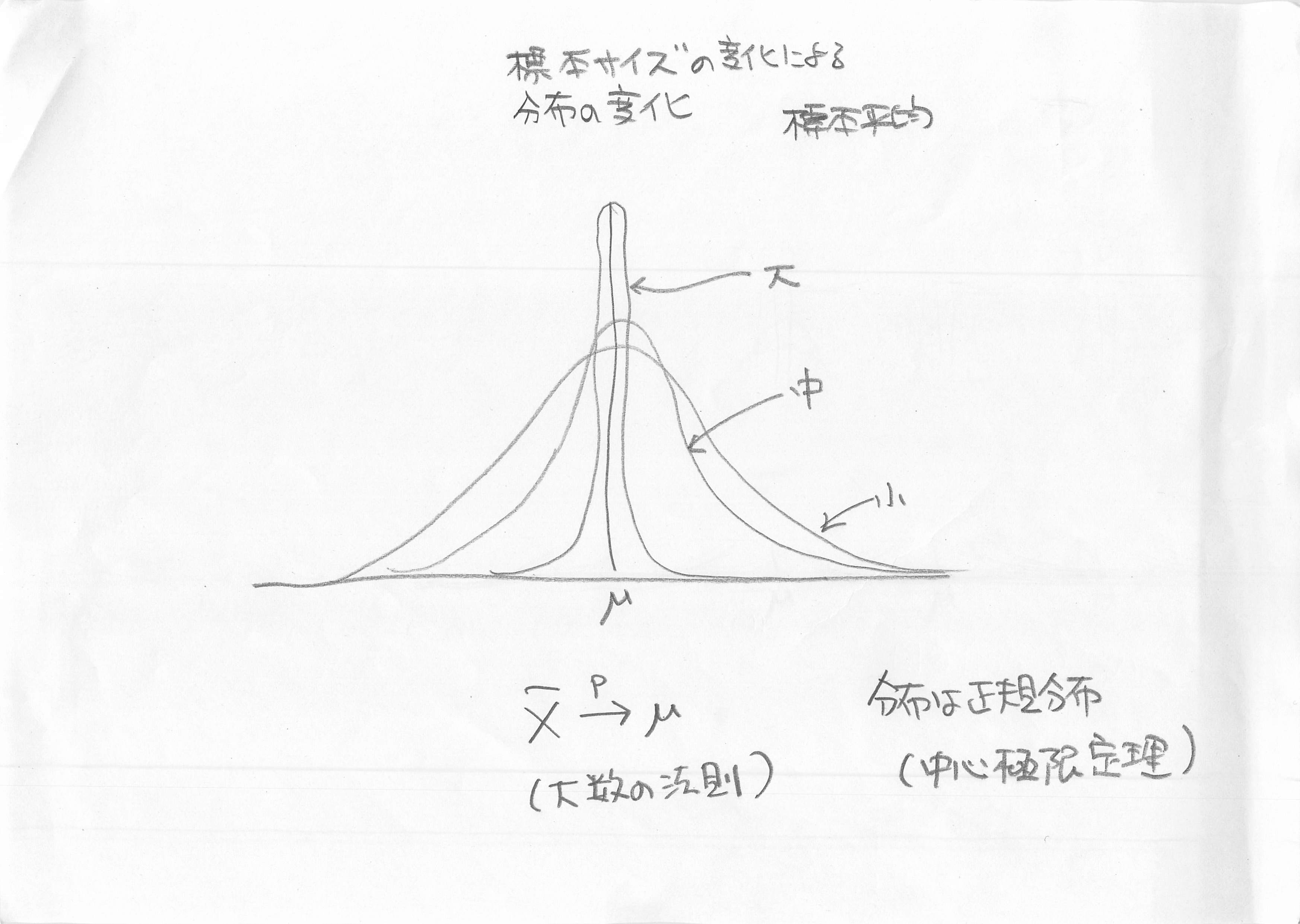 標本平均と大数の法則.jpg