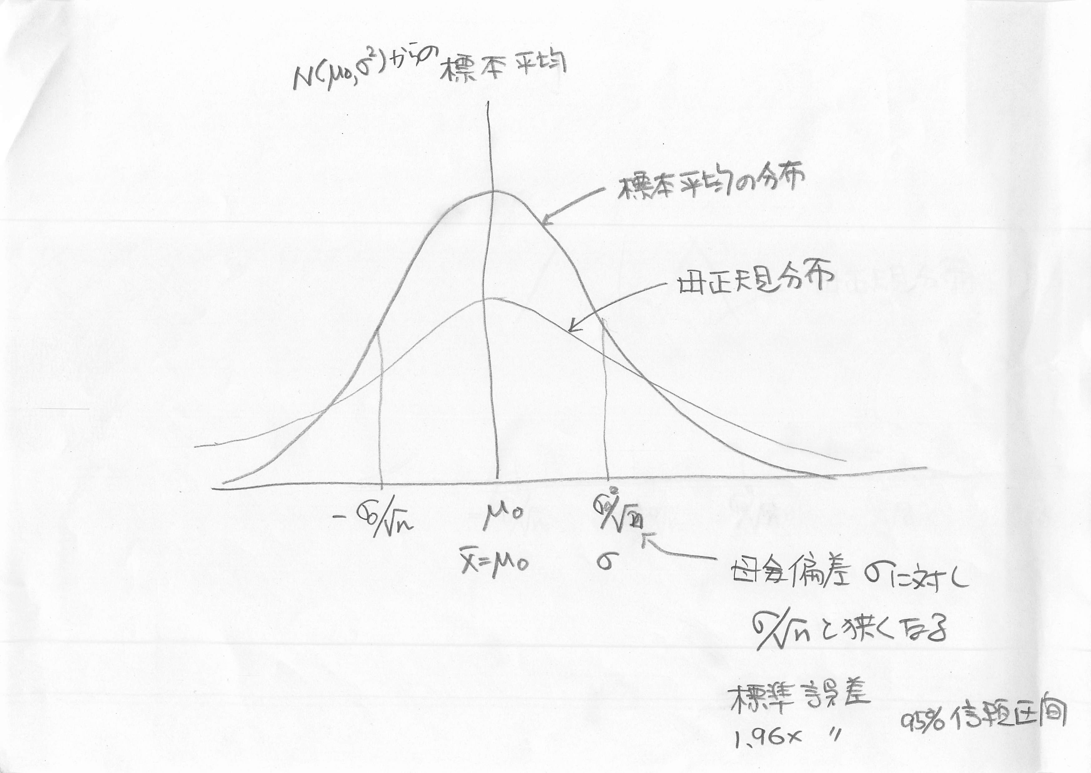 母分布と標本平均の分布.jpg