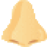 nose.png