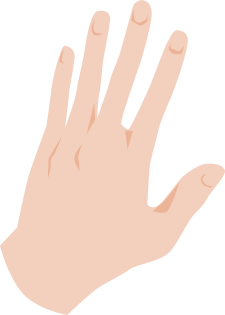 hand-1.png